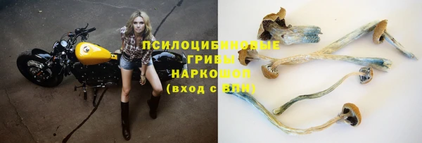 крисы Армянск