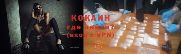 крисы Армянск