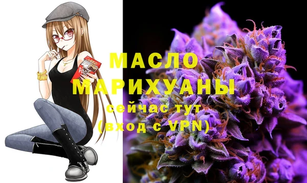 крисы Армянск