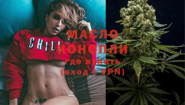 крисы Армянск