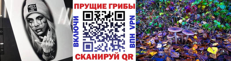 Псилоцибиновые грибы мицелий  Богородицк 