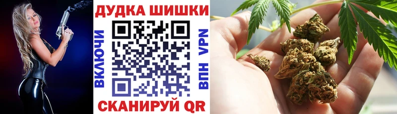 Канабис сатива  блэк спрут как войти  Богородицк 